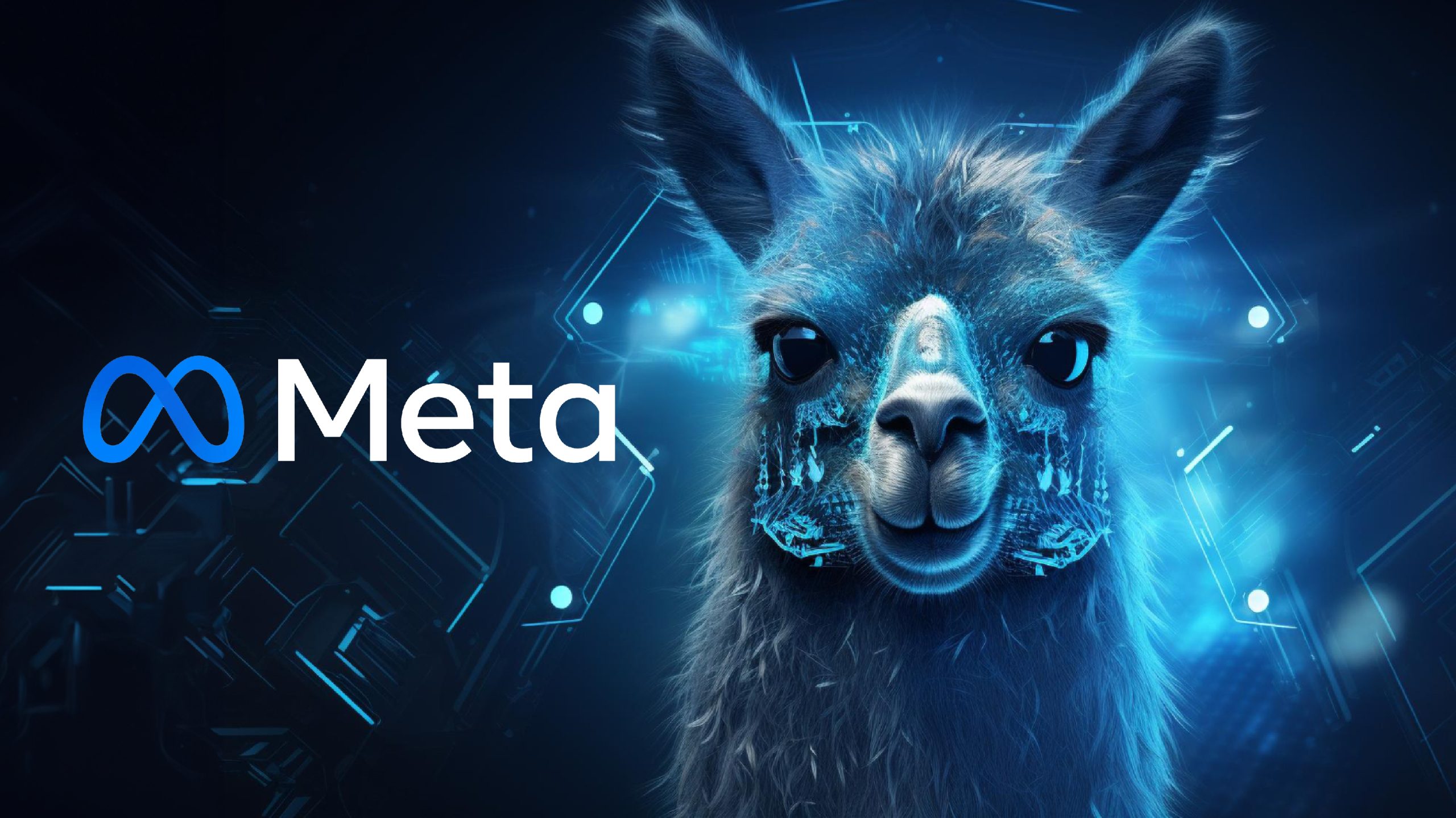 Llama Local Deployment
