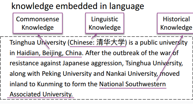 LLM 学习的各类知识