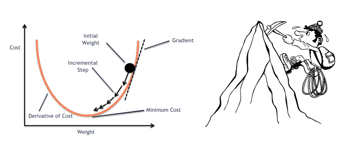 Stochastic Gradient Descent