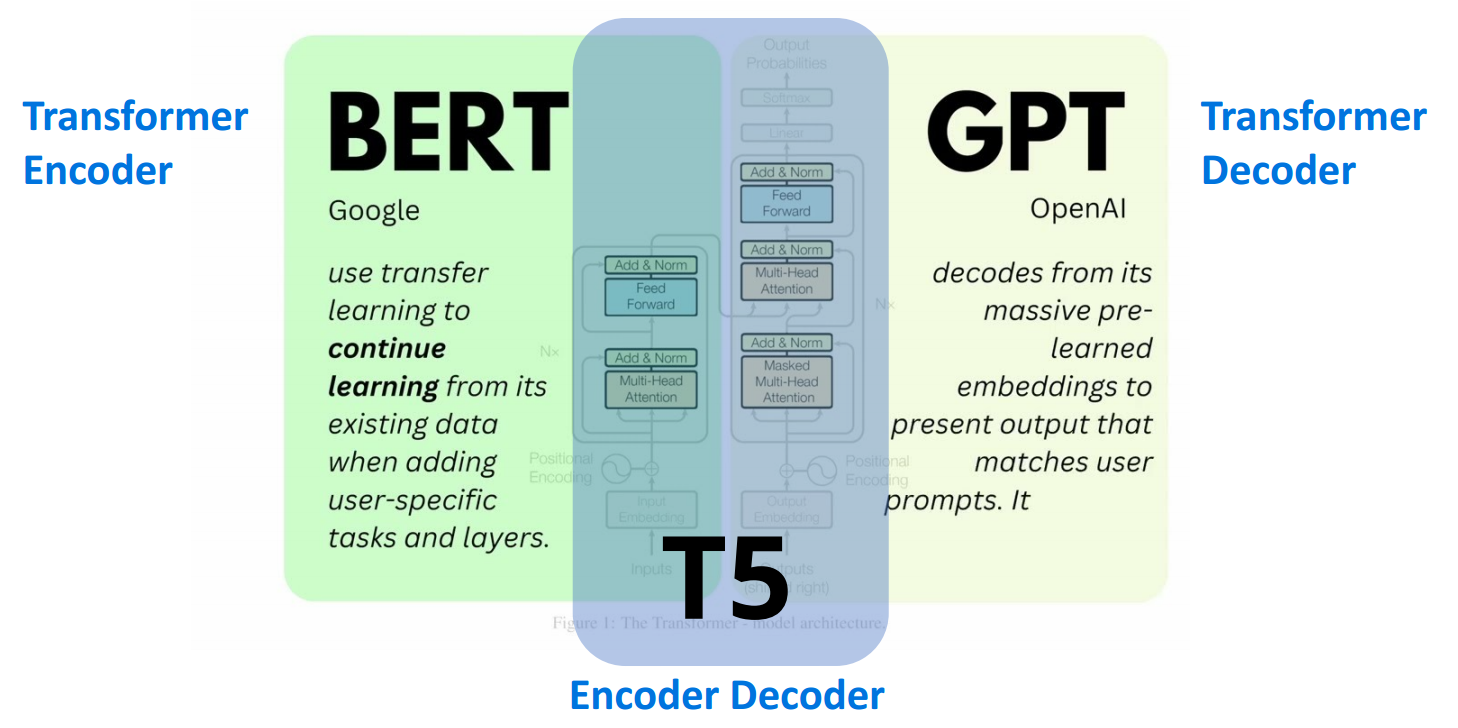 BERT & GPT